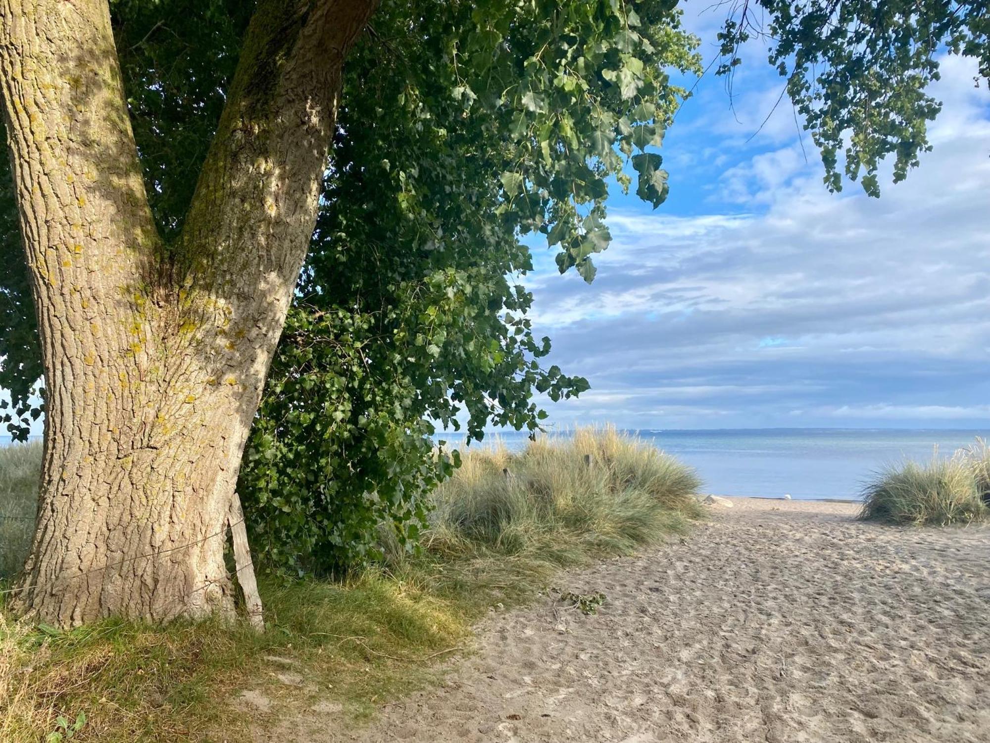 Feriendorf Suedstrand Haus 33 Pelzerhaken Bagian luar foto